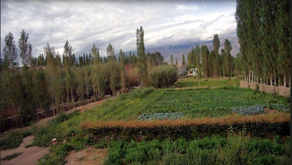 Hotel Ladakh Heaven Leh Bagian luar foto