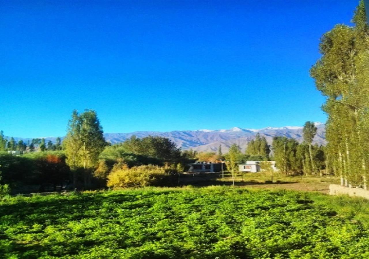 Hotel Ladakh Heaven Leh Bagian luar foto